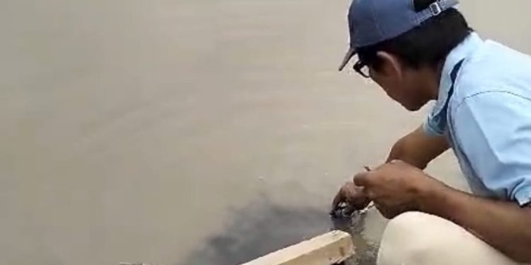 Hasil Uji Lab Temukan Indikasi Pencemaran Limbah Pengeboran di Muara Badak