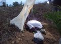 Petani ditemukan meninggal dalam posisi sujud di kebun sawit, diduga tersambar petir di Kota Bangun, Kukar.