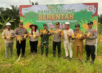 Kapolsek Muara Badak IPTU Danang Wahyu Rahardika memanen jagung di Desa Saliki