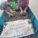Kerang darah mati dan poster tuntutan nelayan