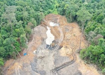 Tambang ilegal di kawasan Hutan Pendidikan Universitas Mulawarman, Samarinda
