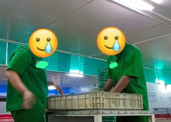 Aliansi Gerakan Buruh Muara Badak Soroti Dugaan Pemberangusan Serikat Pekerja di Perusahaan Afiliasi PT Charoen Pokphand Jaya Farm