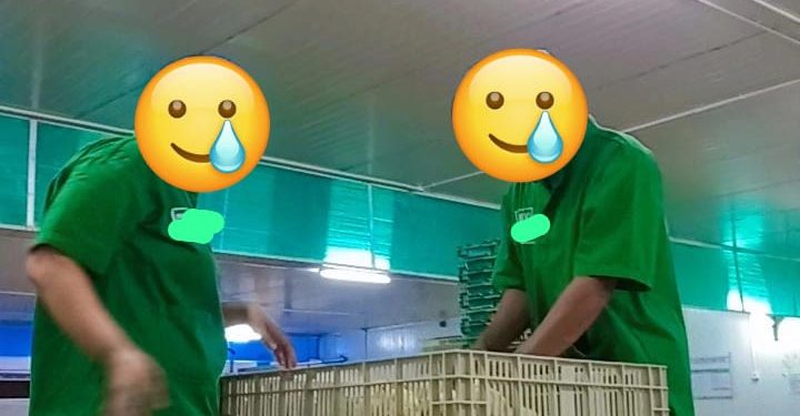 Aliansi Gerakan Buruh Muara Badak Soroti Dugaan Pemberangusan Serikat Pekerja di Perusahaan Afiliasi PT Charoen Pokphand Jaya Farm